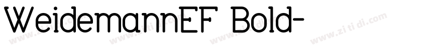 WeidemannEF Bold字体转换